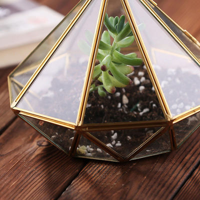 Vaso de suspensão de vidro do Tabletop do Terrarium de Homeware da pirâmide de cobre para a decoração fornecedor