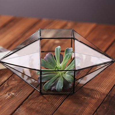Vaso de vidro claro dado forma diamante, vasos geométricos duráveis do vidro do Terrarium fornecedor