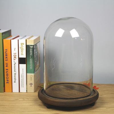 Campânula de madeira da exposição da abóbada do vidro de Borosilicate da base D20*H40cm fornecedor