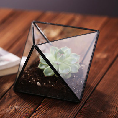Suporte geométrico da planta de ar do mini Tabletop do metal, suporte de vidro da planta de ar da decoração de Himmeli fornecedor