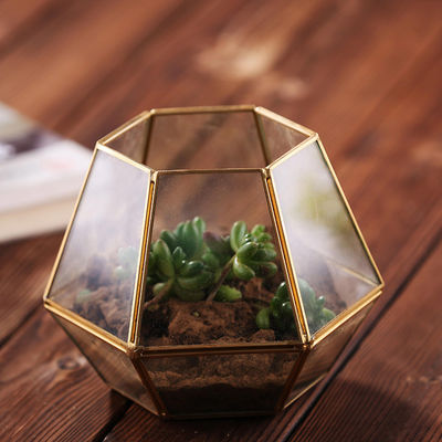 Vaso geométrico de vidro da exposição da flor do Terrarium DIY de Homeware da decoração moderna do Tabletop fornecedor